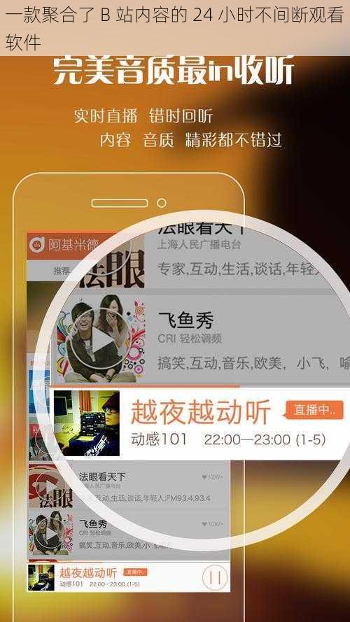 一款聚合了 B 站内容的 24 小时不间断观看软件