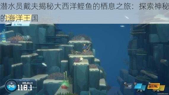 潜水员戴夫揭秘大西洋鲣鱼的栖息之旅：探索神秘的海洋王国