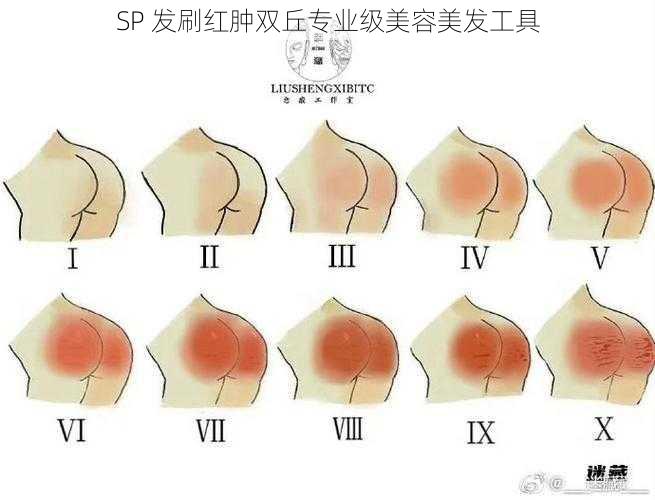 SP 发刷红肿双丘专业级美容美发工具