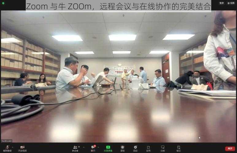 Zoom 与牛 ZOOm，远程会议与在线协作的完美结合