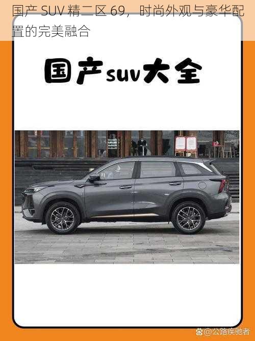 国产 SUV 精二区 69，时尚外观与豪华配置的完美融合