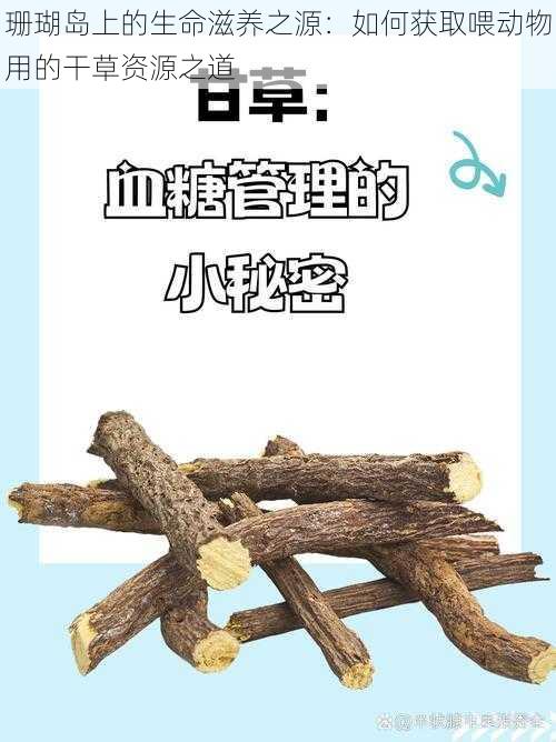 珊瑚岛上的生命滋养之源：如何获取喂动物用的干草资源之道