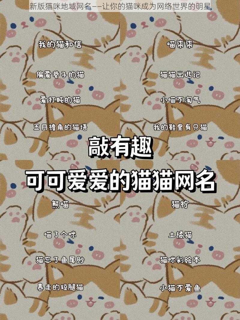 新版猫咪地域网名——让你的猫咪成为网络世界的明星