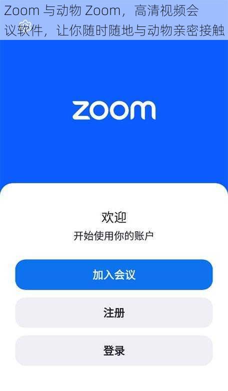 Zoom 与动物 Zoom，高清视频会议软件，让你随时随地与动物亲密接触