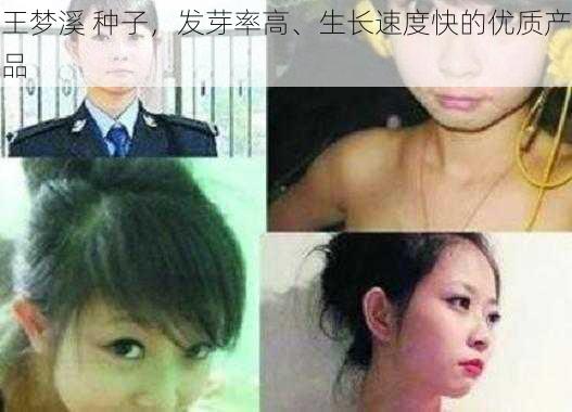 王梦溪 种子，发芽率高、生长速度快的优质产品