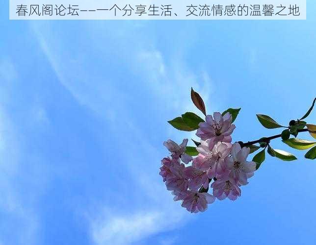 春风阁论坛——一个分享生活、交流情感的温馨之地