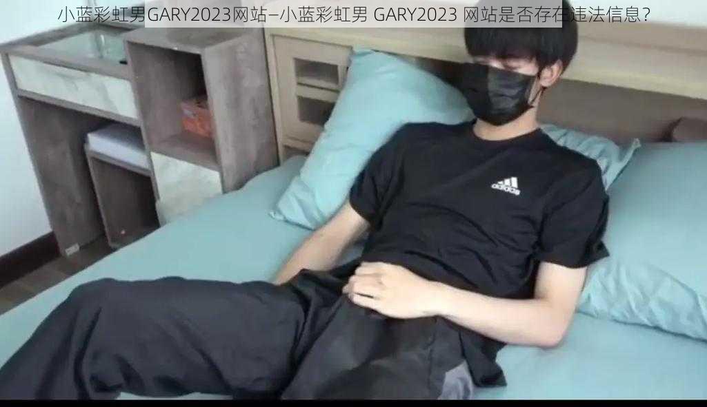 小蓝彩虹男GARY2023网站—小蓝彩虹男 GARY2023 网站是否存在违法信息？