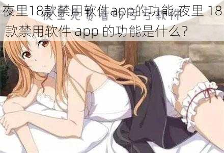 夜里18款禁用软件app的功能,夜里 18 款禁用软件 app 的功能是什么？