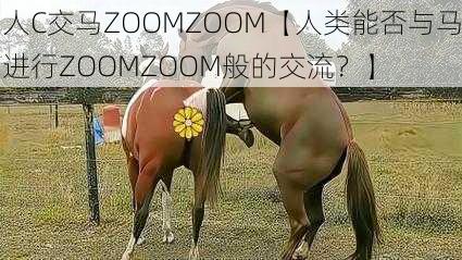 人C交马ZOOMZOOM【人类能否与马进行ZOOMZOOM般的交流？】