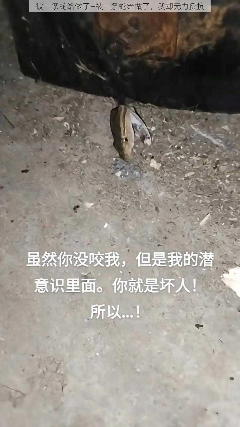 被一条蛇给做了—被一条蛇给做了，我却无力反抗