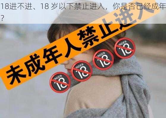 18进不进、18 岁以下禁止进入，你是否已经成年？