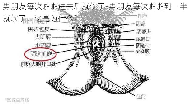 男朋友每次啪啪进去后就软了-男朋友每次啪啪到一半就软了，这是为什么？