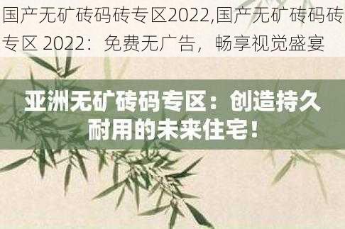 国产无矿砖码砖专区2022,国产无矿砖码砖专区 2022：免费无广告，畅享视觉盛宴