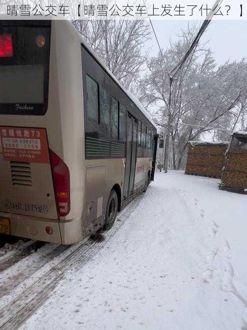 晴雪公交车【晴雪公交车上发生了什么？】