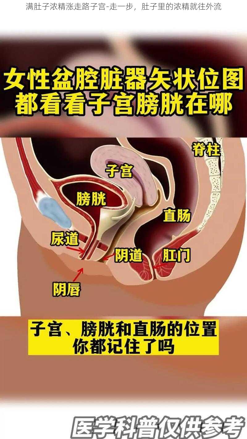 满肚子浓精涨走路子宫-走一步，肚子里的浓精就往外流