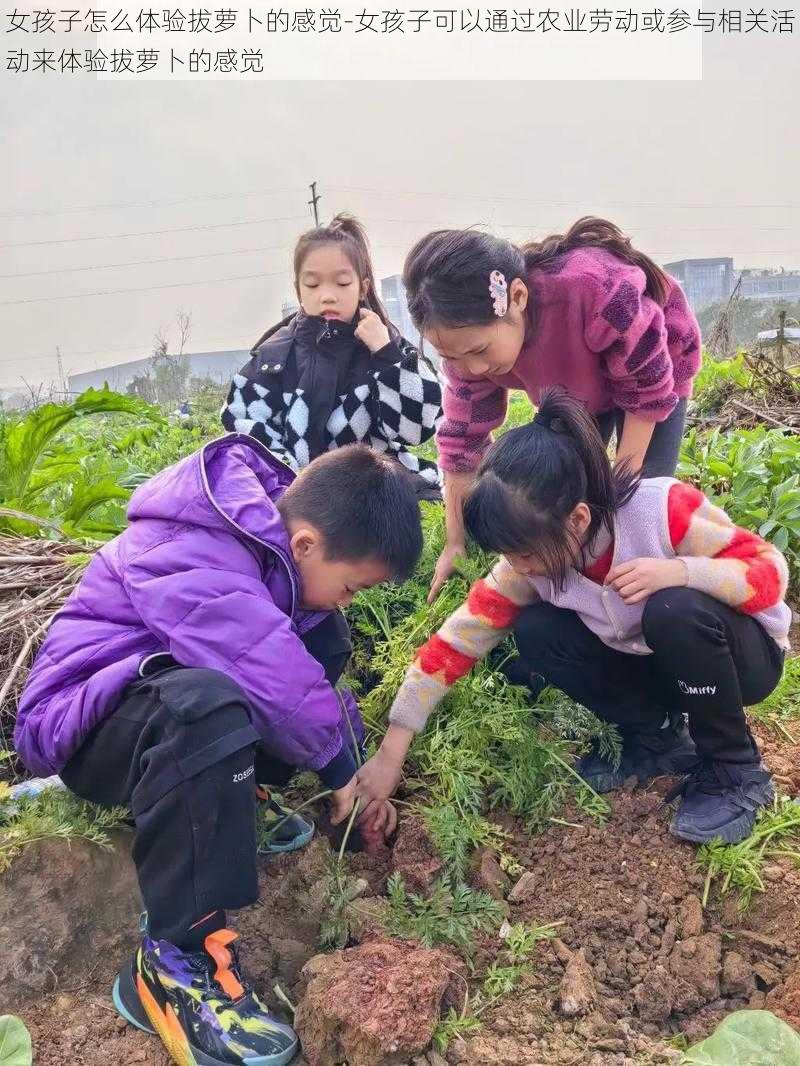 女孩子怎么体验拔萝卜的感觉-女孩子可以通过农业劳动或参与相关活动来体验拔萝卜的感觉