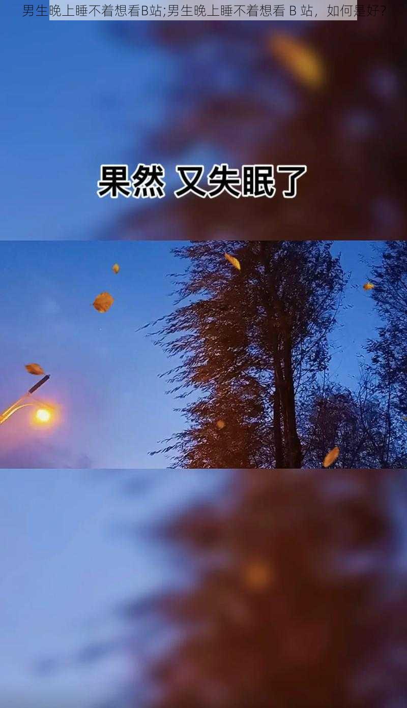 男生晚上睡不着想看B站;男生晚上睡不着想看 B 站，如何是好？