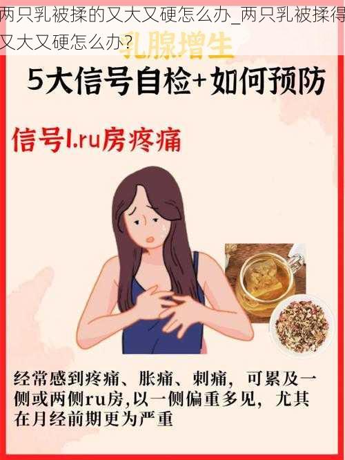 两只乳被揉的又大又硬怎么办_两只乳被揉得又大又硬怎么办？