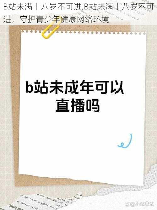 B站未满十八岁不可进,B站未满十八岁不可进，守护青少年健康网络环境