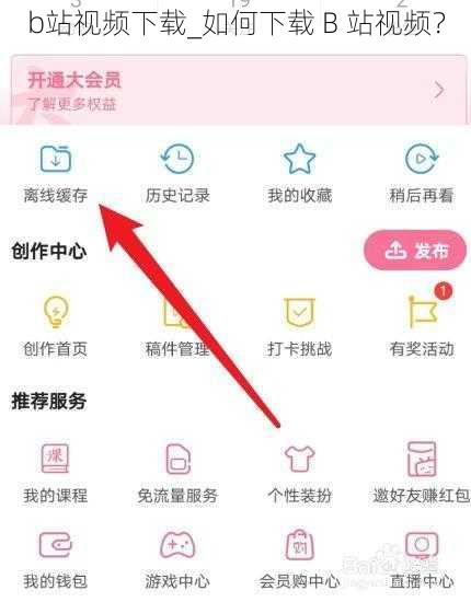 b站视频下载_如何下载 B 站视频？