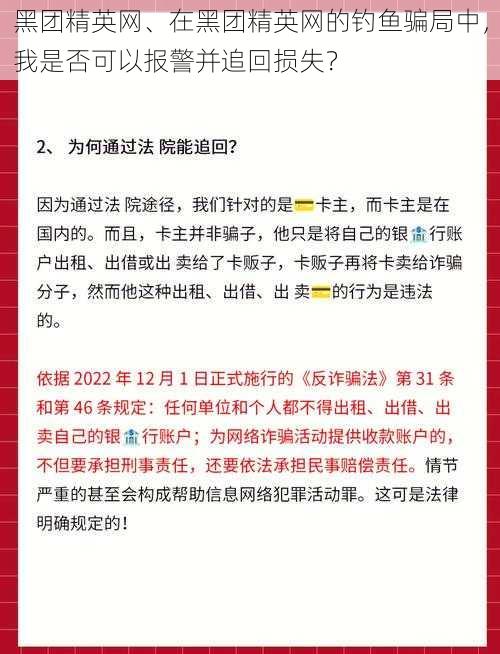 黑团精英网、在黑团精英网的钓鱼骗局中，我是否可以报警并追回损失？