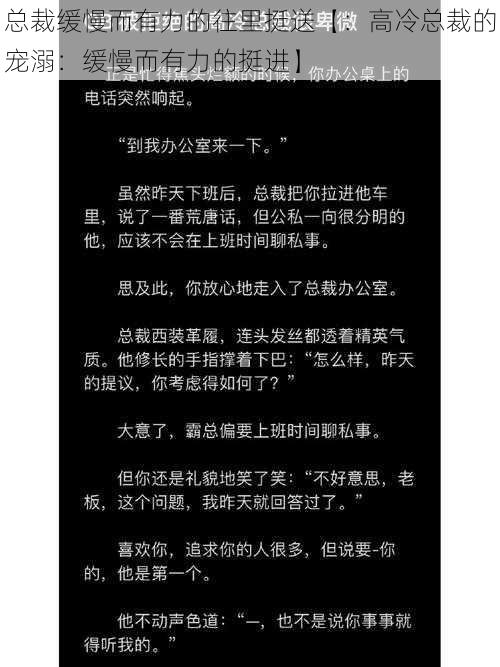 总裁缓慢而有力的往里挺送【：高冷总裁的宠溺：缓慢而有力的挺进】