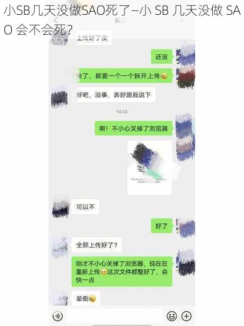 小SB几天没做SAO死了—小 SB 几天没做 SAO 会不会死？