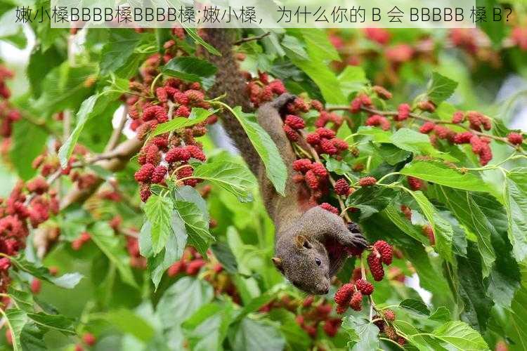 嫩小槡BBBB槡BBBB槡;嫩小槡，为什么你的 B 会 BBBBB 槡 B？