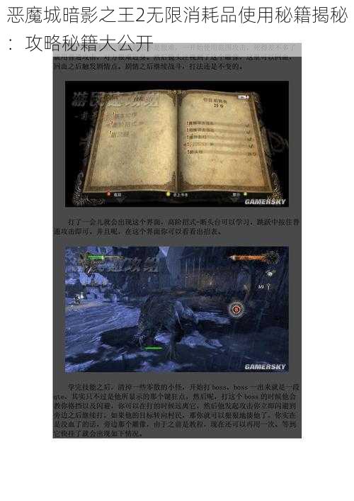 恶魔城暗影之王2无限消耗品使用秘籍揭秘：攻略秘籍大公开