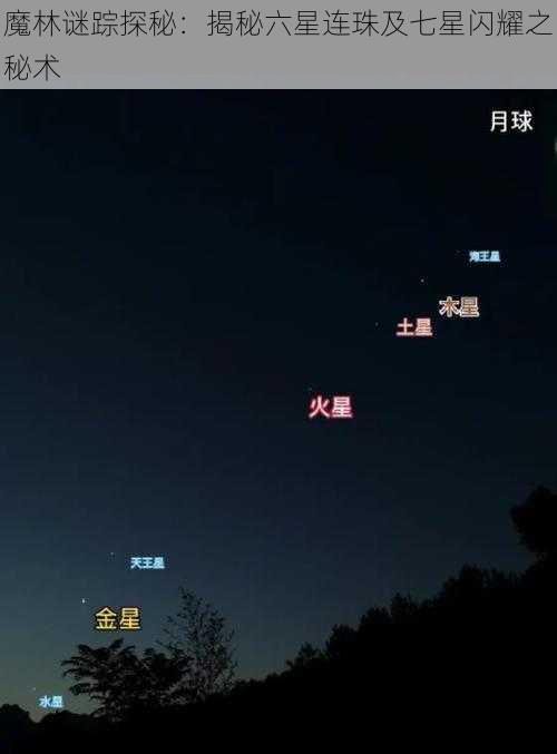 魔林谜踪探秘：揭秘六星连珠及七星闪耀之秘术