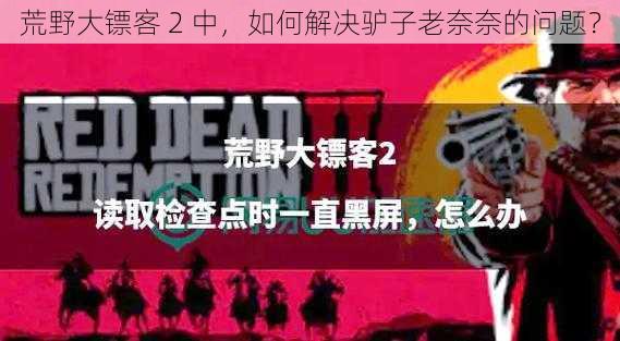 荒野大镖客 2 中，如何解决驴子老奈奈的问题？