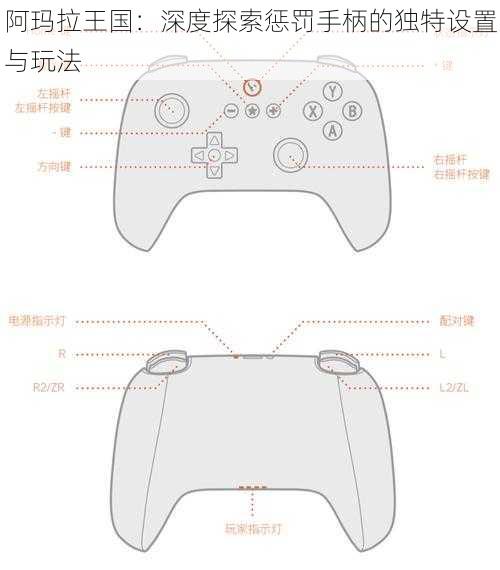 阿玛拉王国：深度探索惩罚手柄的独特设置与玩法