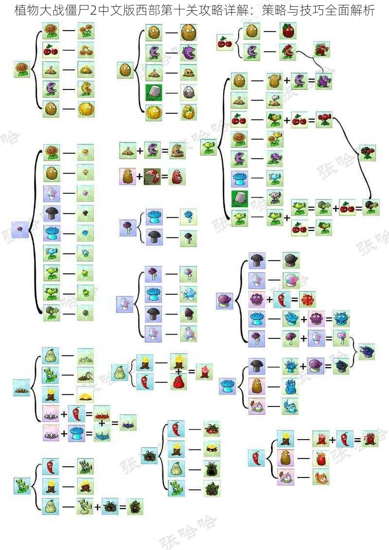 植物大战僵尸2中文版西部第十关攻略详解：策略与技巧全面解析