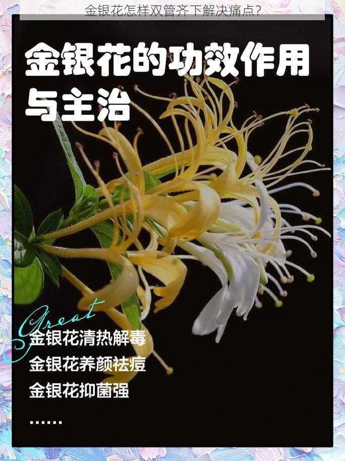 金银花怎样双管齐下解决痛点？