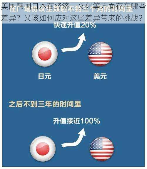 美国韩国日本在经济、文化等方面存在哪些差异？又该如何应对这些差异带来的挑战？