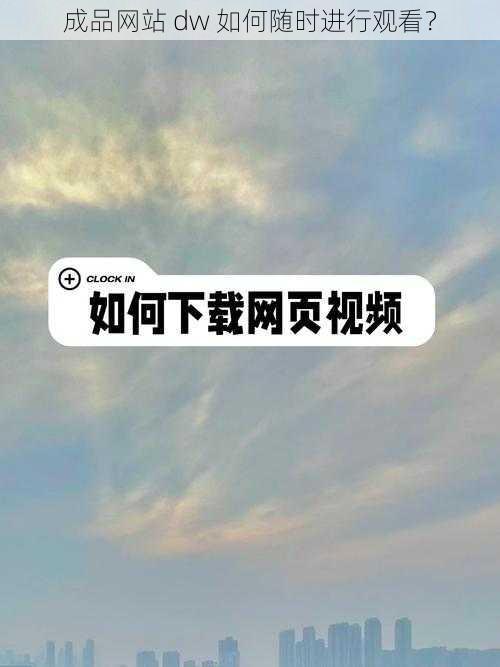 成品网站 dw 如何随时进行观看？