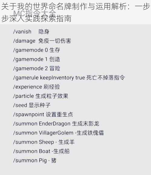 关于我的世界命名牌制作与运用解析：一步步深入实践探索指南