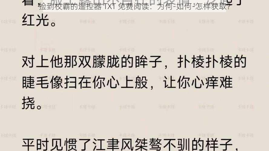 捡到校霸的遥控器 TXT 免费阅读：为何-如何-怎样获取？