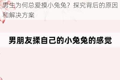 男生为何总爱摸小兔兔？探究背后的原因和解决方案