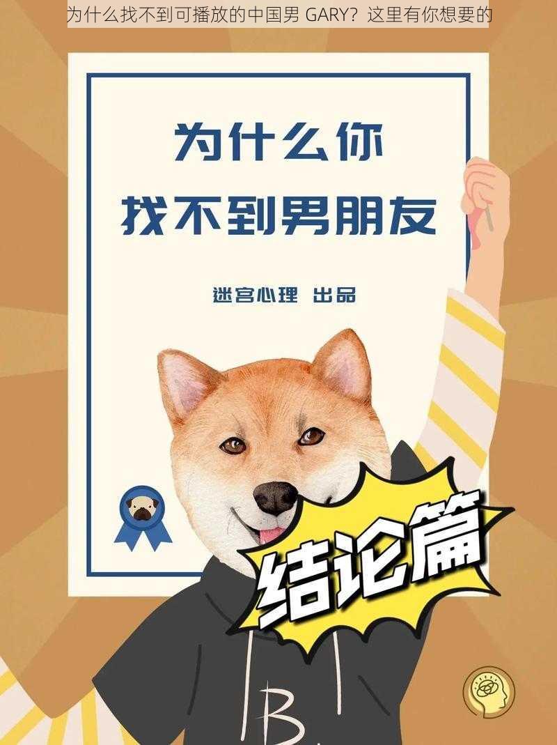 为什么找不到可播放的中国男 GARY？这里有你想要的