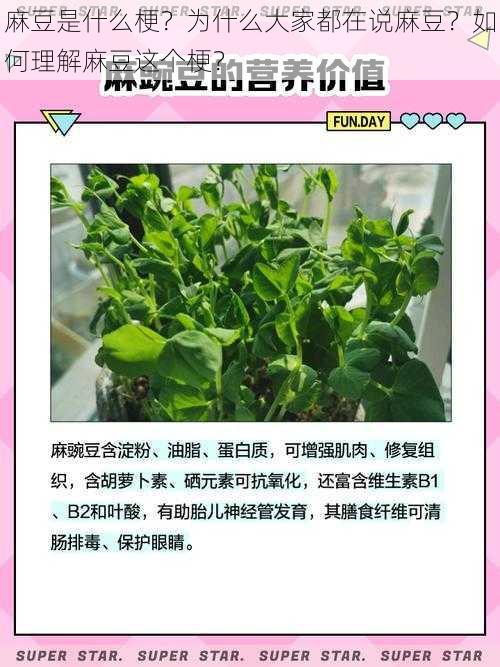 麻豆是什么梗？为什么大家都在说麻豆？如何理解麻豆这个梗？