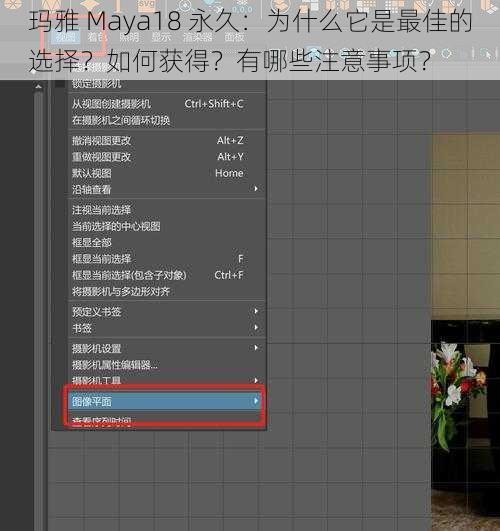 玛雅 Maya18 永久：为什么它是最佳的选择？如何获得？有哪些注意事项？