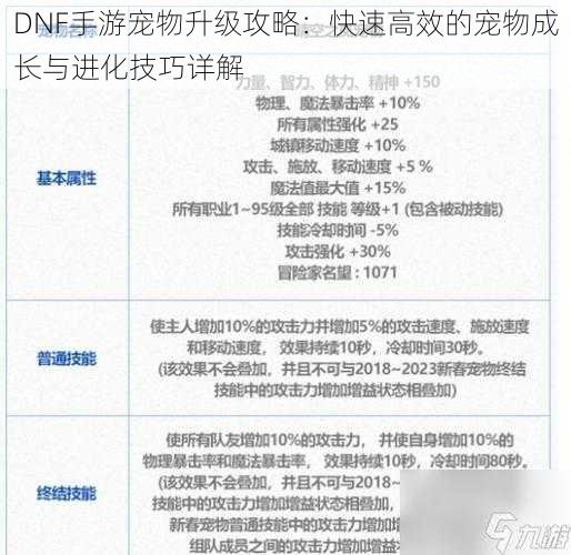 DNF手游宠物升级攻略：快速高效的宠物成长与进化技巧详解