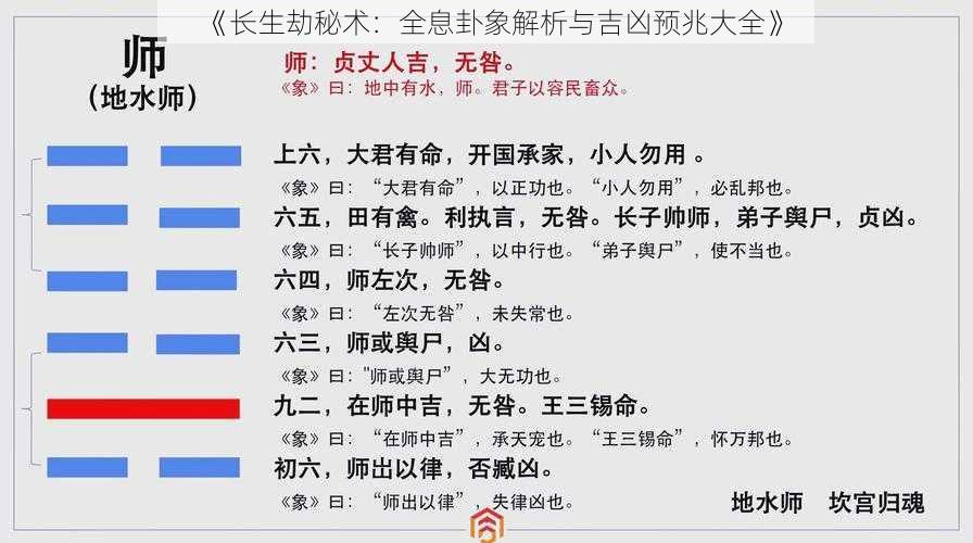 《长生劫秘术：全息卦象解析与吉凶预兆大全》